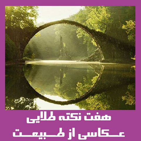 7 تکنیک بی‌نظیر عکاسی از طبیعت !